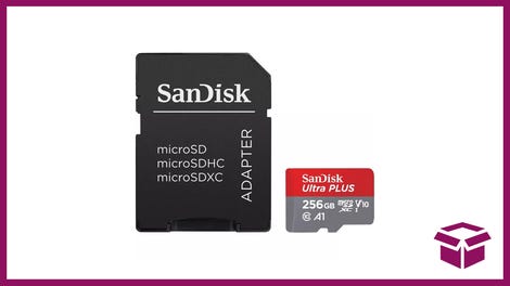 SanDisk Ultra 256 GB MicroSD Card