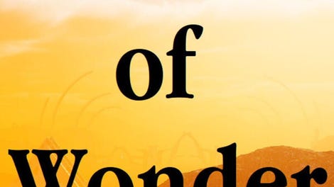 World of Wonder