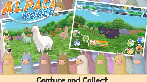 Alpaca World