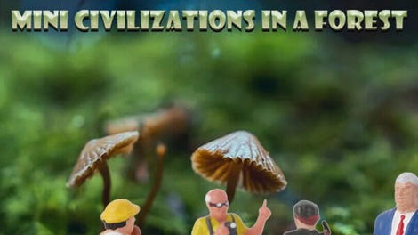 VR Wonderland: mini civilizations in a forest