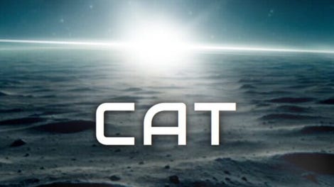 Starving Cat