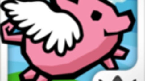 Pig Rush