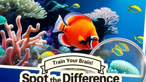 Train Your Brain! Spot the Difference With Fish Photos