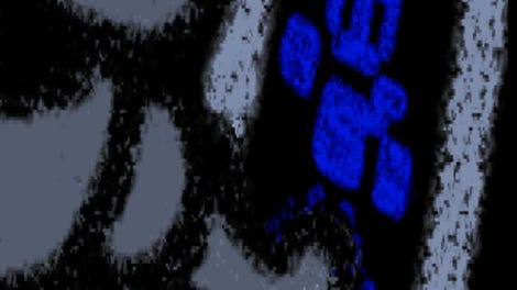 Xerxesia