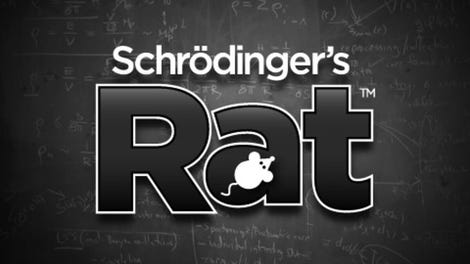 Schrödinger's Rat