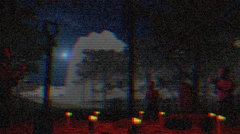 The Cursed Garden