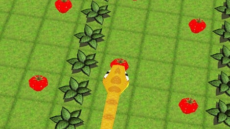 Snake in the Cube