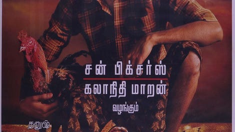 Aadukalam Tamil Movie Review In Telugu | Aadukalam Review | Dhanush |  Kadile Chitrala Kaburlu - YouTube