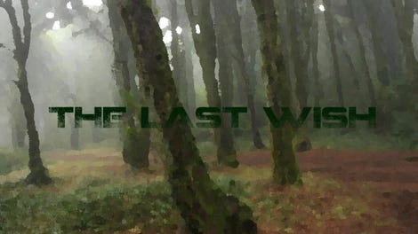 The Last Wish