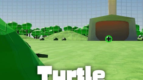 Turtle Champs