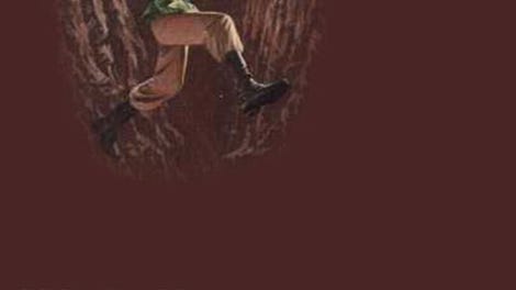 Pitfall II: The Lost Caverns