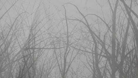 The Weald