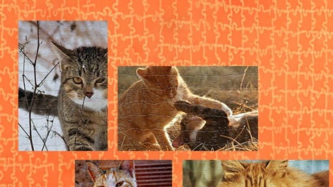 Pixel Puzzles Ultimate: Cats