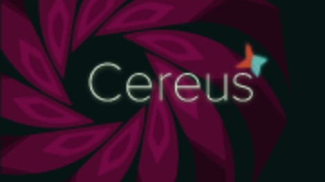 Cereus