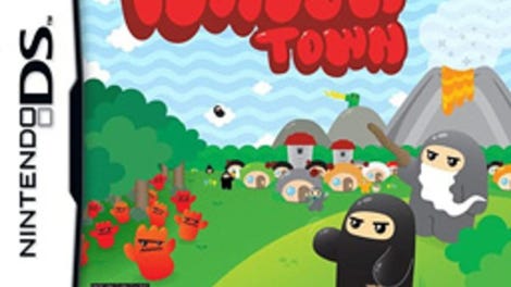 Ninjatown