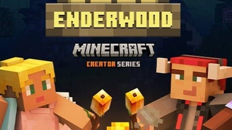 Minecraft: Camp Enderwood