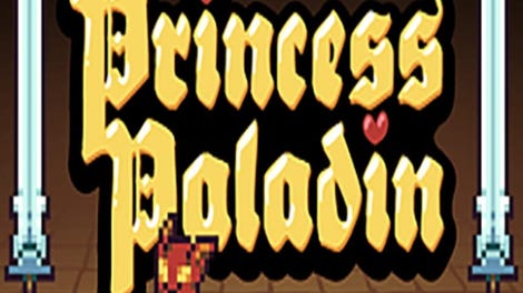 Princess Paladin