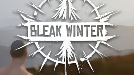 Bleak Winter