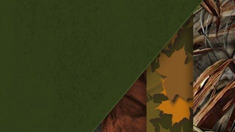The Hunter: Call of the Wild - Layton Lake Cosmetic Pack
