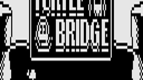 Turtle Bridge