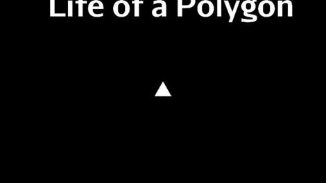 Life of a Polygon