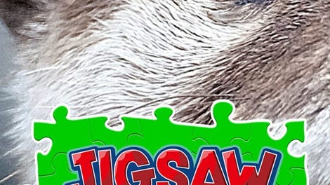 Jigsaw Masterpieces: Close Up Animals