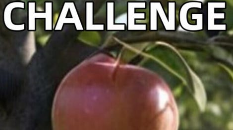 Chatter Challenge