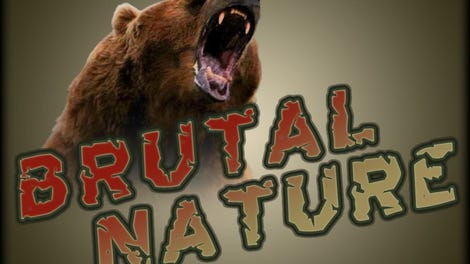 Brutal Nature