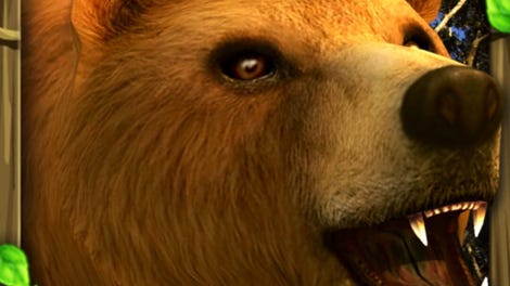 Wildlife Simulator: Bear