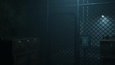 Forest Asylum