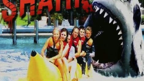 Miami Shark