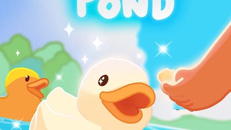 The Duck Pond