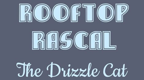 Rooftop Rascal: The Drizzle Cat