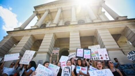 Oh Cool, Trump Allegedly Went Against His Science Advisors to Defund Fetal Tissue Research