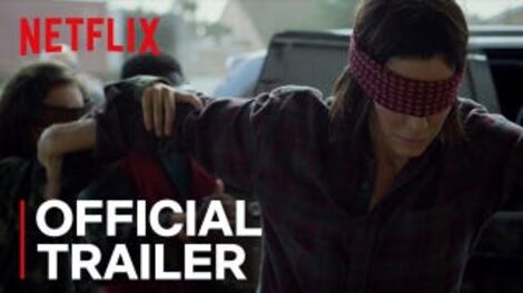 <i>Bird Box</i>, a Movie for Your Bird Brain