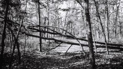 Ong's Hat: The Early Internet Conspiracy Game That Got Too Real