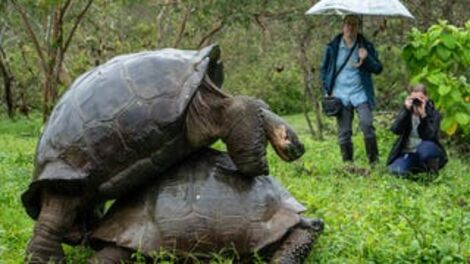 Your Public Sex Disaster Stories