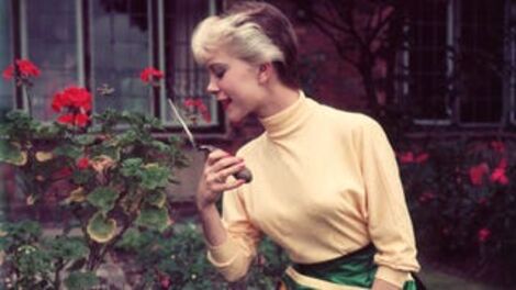 The 'Suburban Housewife' Is a Specter Built for White Supremacists