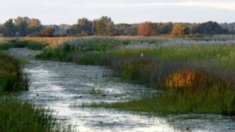 Michigan Road Commissioner Uses Racist Slur, Blames Black People for Pandemic
