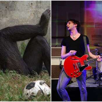 Image for Read This: We can thank “Ray Suzuki”’s mom for Pitchfork’s most infamous review