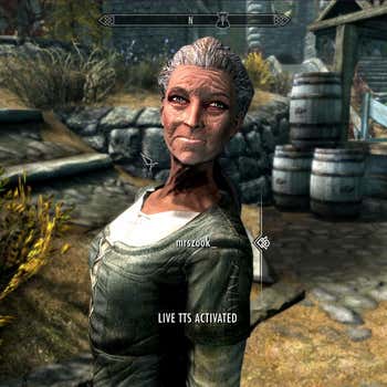 Image for Streamer Builds Hilarious Skyrim Mod That Lets Twitch Chat Voice NPCs