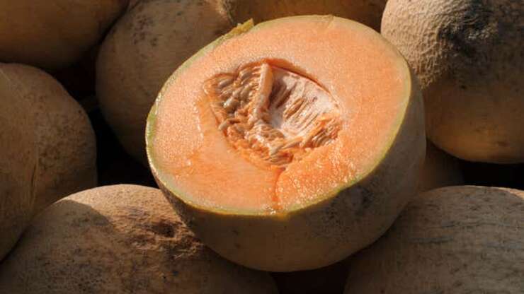 Image for Don't eat pre-cut cantaloupe if the source is unknown, CDC says, as deadly salmonella outbreak grows