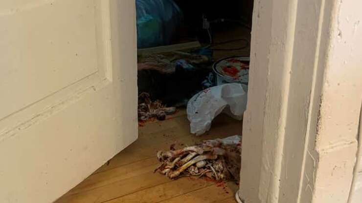 Image for Deep Bellow Of ‘I’m Hungry!’ Rolls Out Of Teenage Son’s Animal-Bone-Filled Den