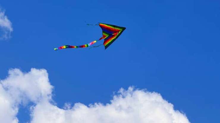 Image for ‘Kite,’ Report 340 Million Americans Pointing At Sky