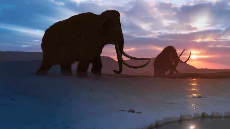 Image for It's trying to bring back the woolly mammoth — and it just got $200 million