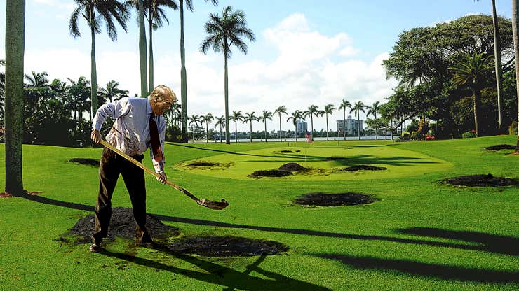 Image for Trump Frantically Digging Holes Around Mar-A-Lago In Hopes Of Striking $454 Million In Oil