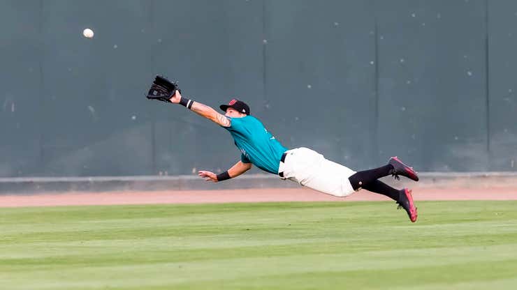 Image for 7 minor league ballparks to visit this summer
