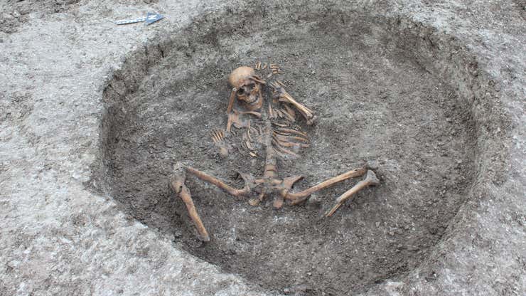 Image for Ritual Sacrifice Was Widespread in Neolithic Europe, New Evidence Suggests