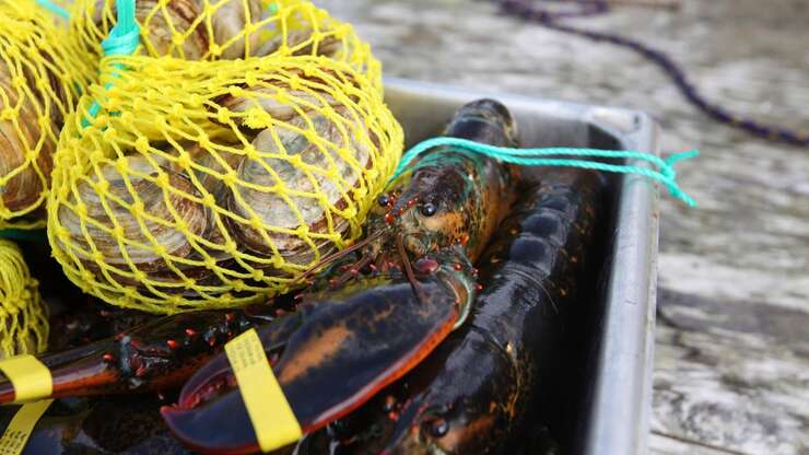 Image for How the first company to use Google Ads built its business