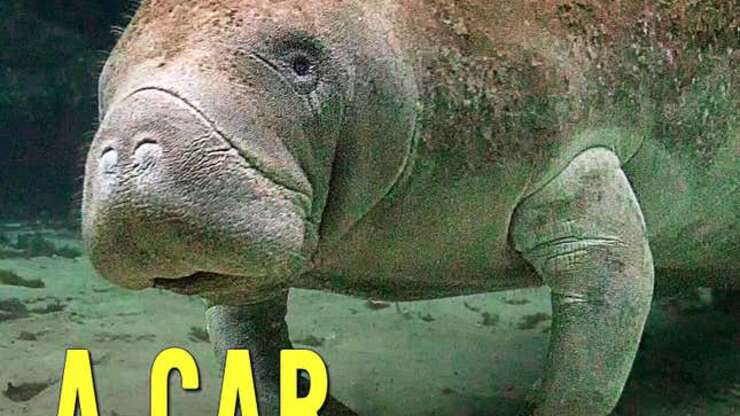 Image for A Car Unlike Any You’ve Seen Before